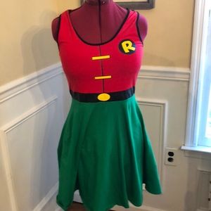 Robin costume/dress